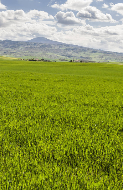 Paysage italien avec prairies au début du printemps. Agriculture en Italie, champs, pâturages et fermes sur la colline
. - Photo, image
