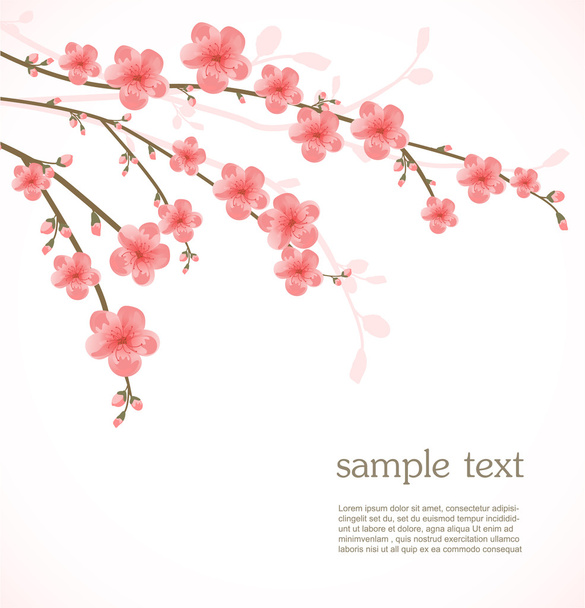 Cherry blossom card - Vector, Imagen