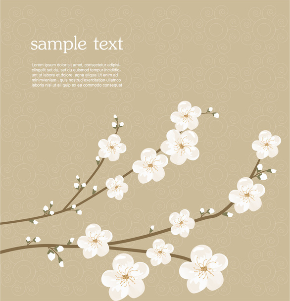 Cherry blossom card - Διάνυσμα, εικόνα