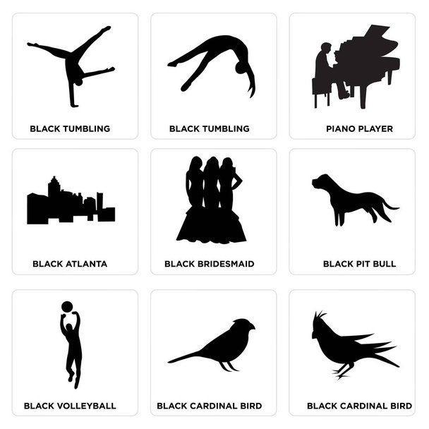 Набор из 9 простых съедобных блюд, таких как черная морская птица, черная морская птица, черная птица, черный бык, черная невеста, черная атланта, пианист, черная морская птица, черная морская птица
 - Вектор,изображение