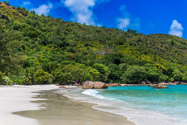 Anse Lazio - Paradise beach with white sand, turquoise water, rich green trees and stones, Seychelles. - Zdjęcie, obraz