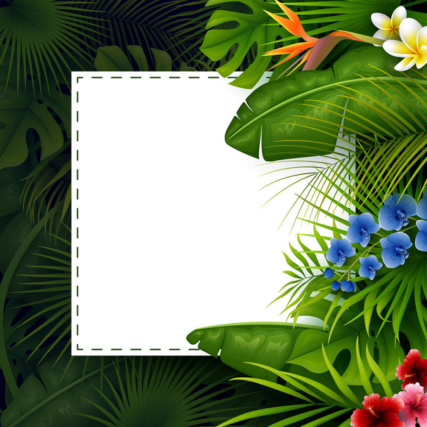 Tropických listů s papírem bílého rámečku pro text na tmavém pozadí - Vektor, obrázek