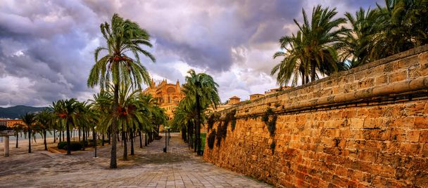 Palma de Majorque, Majorque, Espagne
 - Photo, image