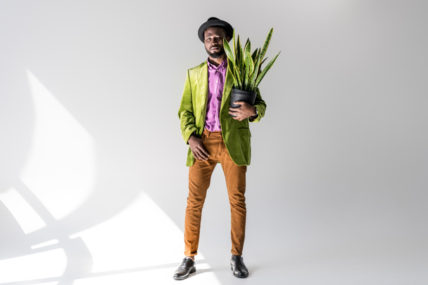 модный африканский американец в шляпе с зеленым растением в цветочном горшке в руке позирует на сером фоне
 - Фото, изображение