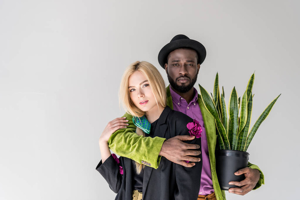 portrait of interracial stylish couple with green plant in flowerpot posing isolated on grey - Photo, Image