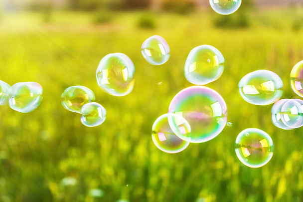 Burbujas de jabón borrosas y abstractas en el campo al atardecer. Elementos de diseño
 - Foto, Imagen