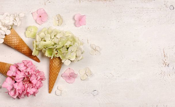 ice cream cones with beautiful hydrangea flowers - Photo, Image