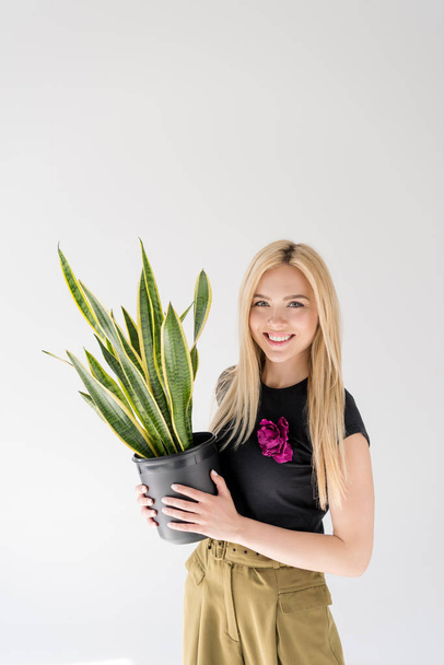 beautiful young woman holding potted plant and smiling at camera isolated on grey - Фото, изображение
