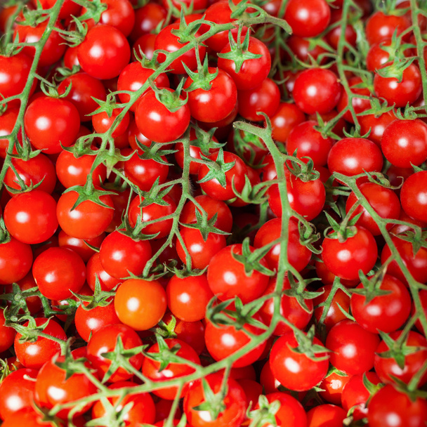 Background with cherry tomatoes. - Photo, Image