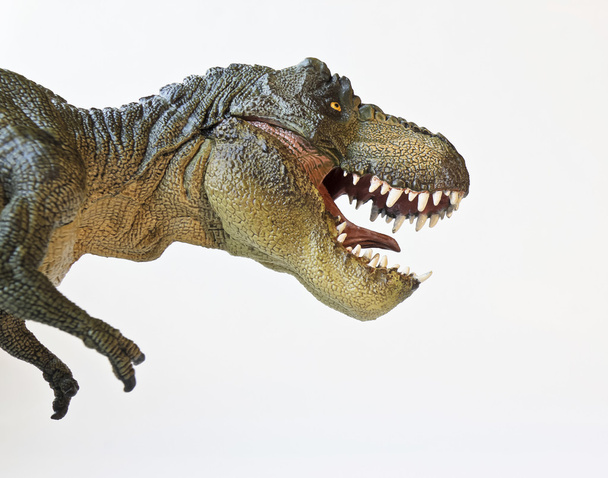 beyaz zemin üzerinde bir tyrannosaurus AVI - Fotoğraf, Görsel