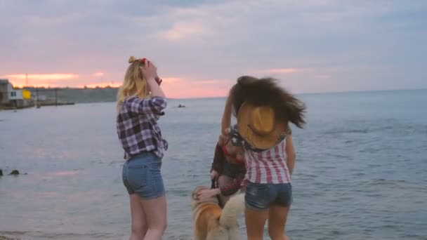 three girls on beach having fun with siberian husky dog. Friends celebrating 4th of july with dog - Footage, Video