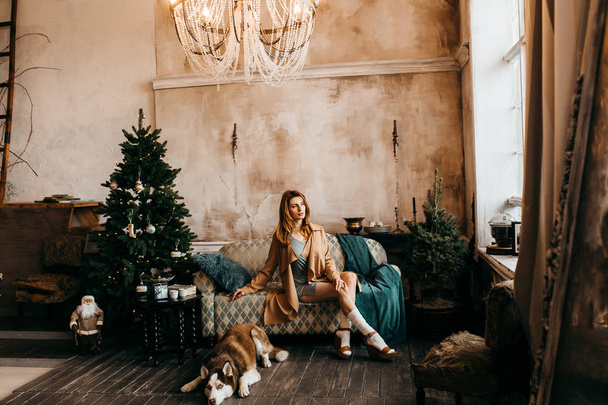 young  beautiful  woman  with dog on Christmas  - Fotoğraf, Görsel