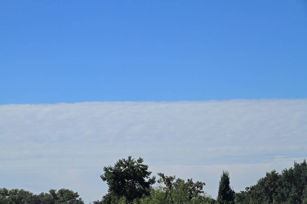 wolk scherpe rand - Foto, afbeelding