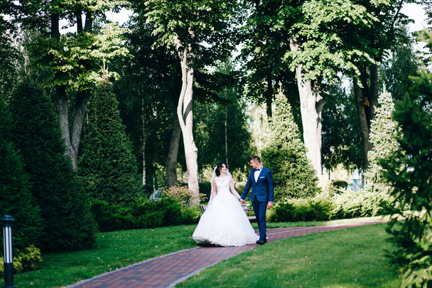 beautiful  young couple of newlyweds walking  outdoors - 写真・画像