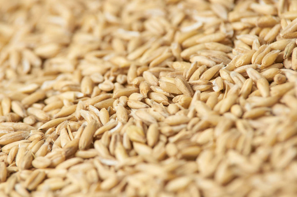 Raw porridge. Neutral light background. Grains of cereals - Фото, зображення