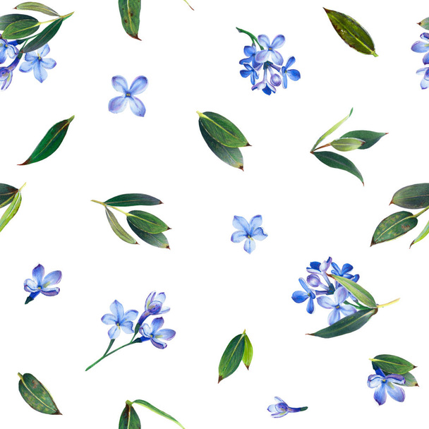 Seamless pattern, blooming blue lilac and green foliage. Illustration by markers, beautiful floral composition on a white background. Imitation of watercolor drawing. - Foto, imagen
