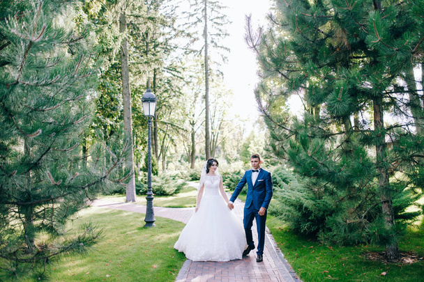 beautiful  young couple of newlyweds walking  outdoors - 写真・画像