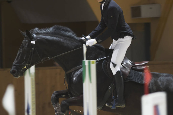 Nuori ratsastaja musta hevonen laukkaa show hyppy kilpailu
 - Valokuva, kuva