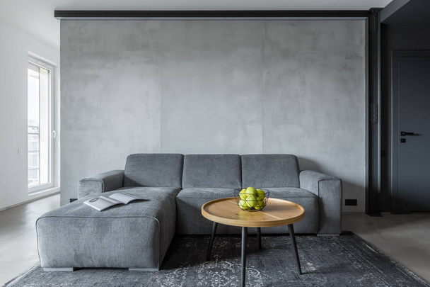 Living room with gray sofa - Foto, afbeelding