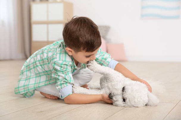 Little boy and bichon frise dog playing at home - 写真・画像