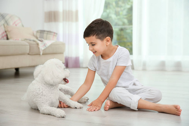 Little boy and bichon frise dog at home - Fotó, kép