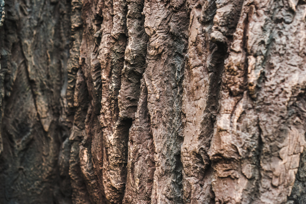 повнокадровий знімок красивої кам'янистої текстури для фону
 - Фото, зображення