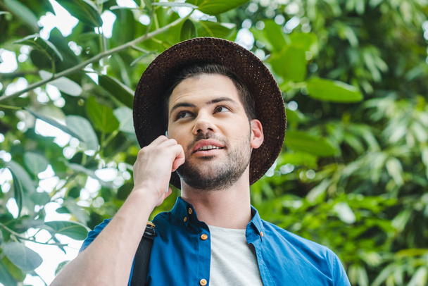 bottom view of handsome young man talking by phone in forest - Photo, Image
