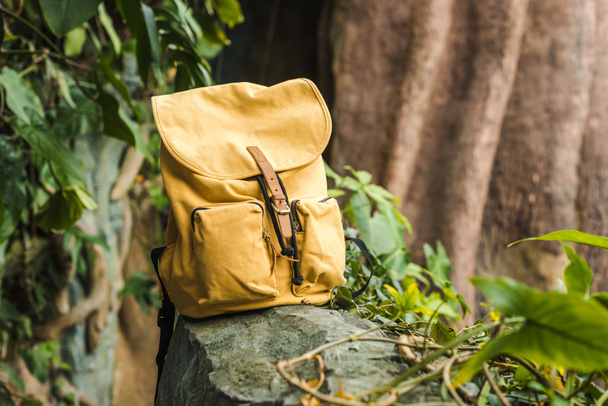 ormanda kayada vintage sarı sırt çantası, yakın çekim vurdu - Fotoğraf, Görsel