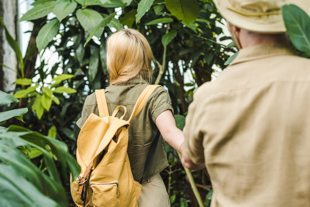 vue arrière du jeune couple en combinaison safari tenant la main et marchant dans la jungle
 - Photo, image