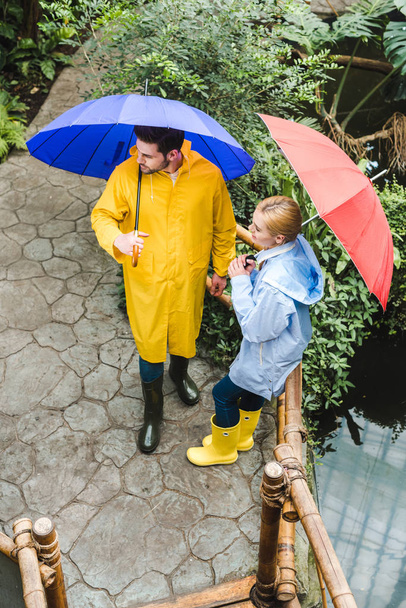 visão de alto ângulo de jovem casal em capas impermeáveis com guarda-chuvas passar tempo no parque com plantas exóticas
 - Foto, Imagem