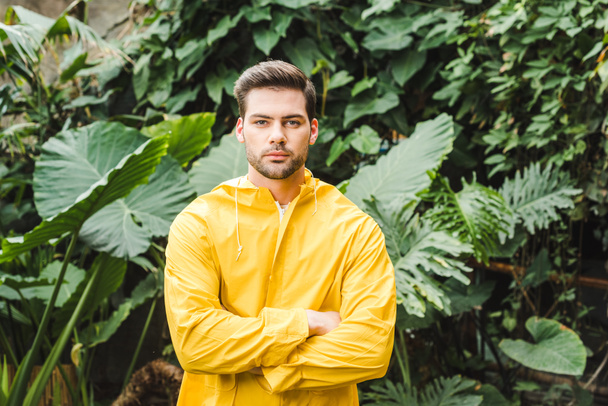 handsome young man in yellow raincoat in jungle looking at camera - Фото, зображення