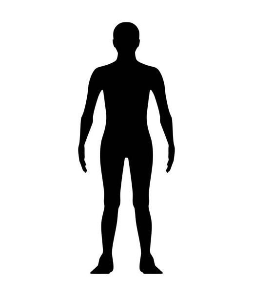 Forma masculina en vista frontal aislada en blanco. Siluetas
. - Foto, Imagen