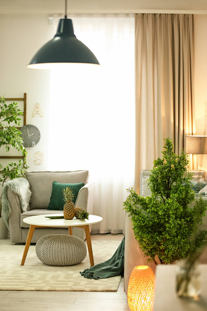 Stilvolles Wohnzimmerinterieur mit bequemem Sofa und Sessel - Foto, Bild