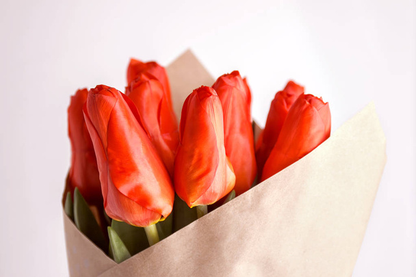 csokor tulipán, a fehér háttér - Fotó, kép