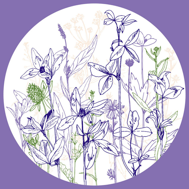 Round template with drawing herbs and flowers - Vektor, obrázek