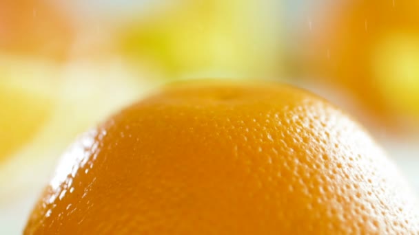 Macro beelden van waterdruppels vallen op sinaasappelschillen - Video