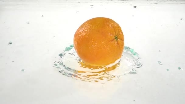 Whole orange drops into the water. White background. Slow motion. Close up - Filmagem, Vídeo