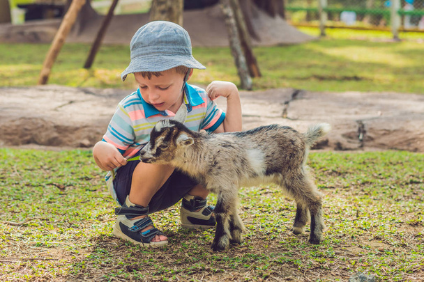 Small cute boy is feeding a small newborn goat. - Foto, immagini
