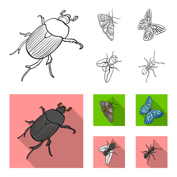 Artrópodes inseto besouro, traça, borboleta, mosca. Insetos definir ícones de coleção em esboço, estilo plano símbolo vetorial estoque isométrico ilustração web
. - Vetor, Imagem