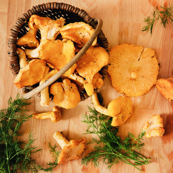 Літні гриби лисички в кошику на столі
 - Фото, зображення