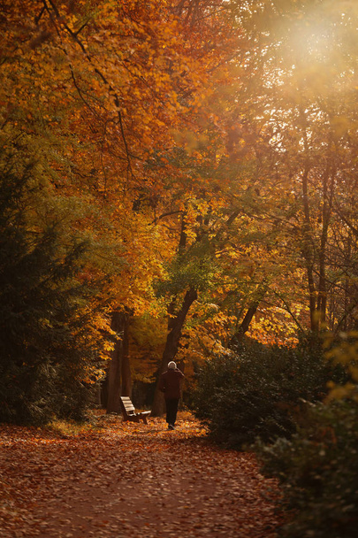 Eenzame man wandelen in de herfst park - Foto, afbeelding