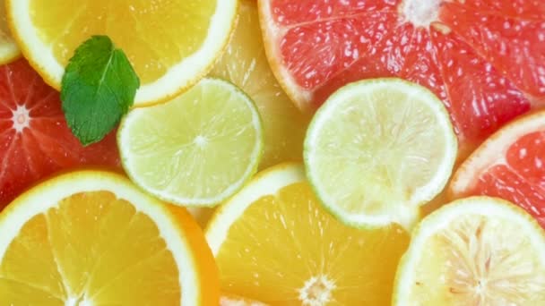 Slow-motion video van muntblaadjes vallen op segmenten van citroenen, sinaasappels en grapefruits pannen - Video