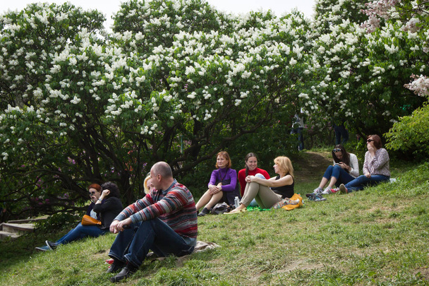 People admire blossoming lilacs in the botanical garden in central Kiev, Ukraine - Фото, зображення