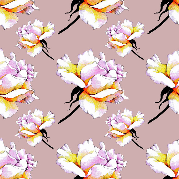 seamless pattern with peony flowers.  - Φωτογραφία, εικόνα
