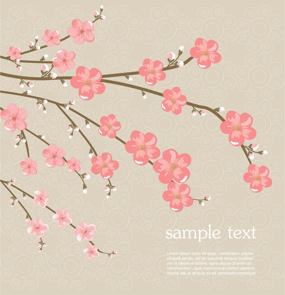 Cherry blossom card - Διάνυσμα, εικόνα