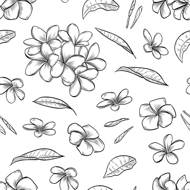 Vector seamless pattern of plumeria flowers - Vetor, Imagem
