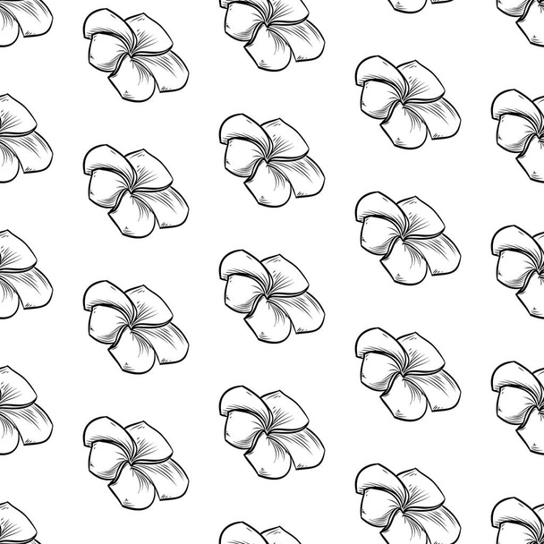 Vector seamless pattern of plumeria flowers - Vektori, kuva