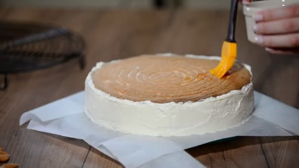 Preparation of cake, spreading of apricot jam on cakes - Footage, Video