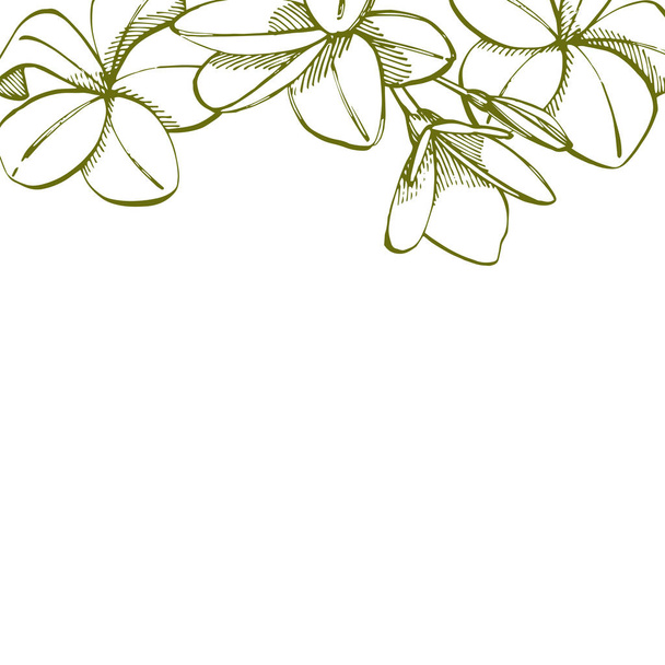 Summer tropical leaves vector design. Floral background illustration. Invitation or card design with jungle leaves. - Vecteur, image