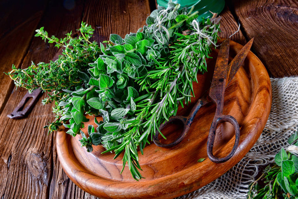 Herbal collection of  thyme,oregano, rosemary - Foto, imagen